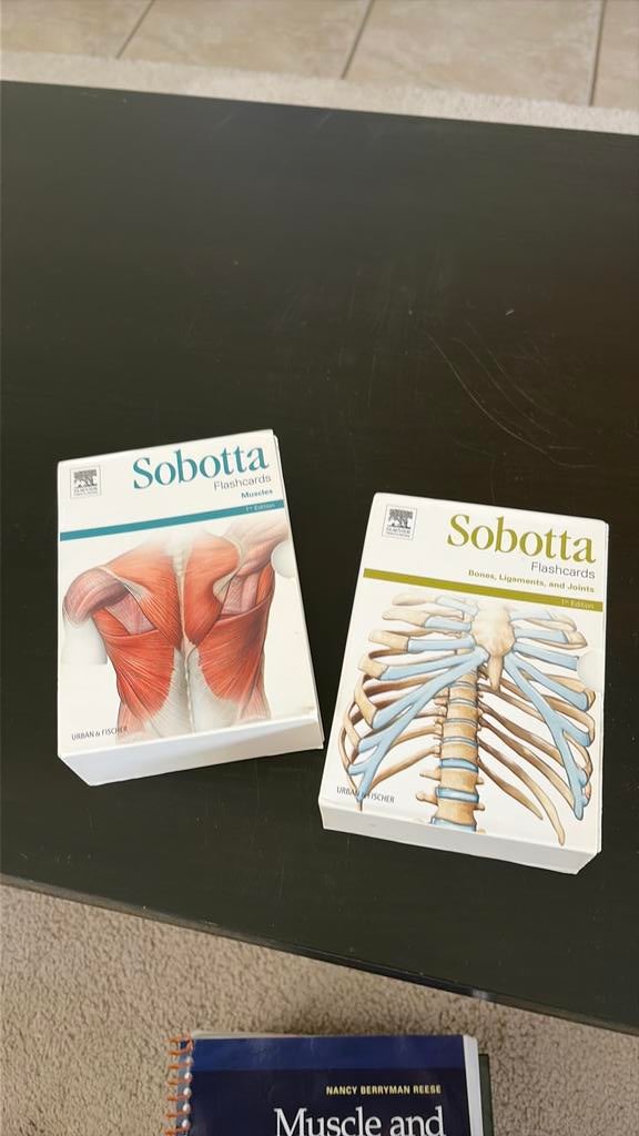Sobotta flashcards (Elsevier), Ophalen, Gelezen, Gezondheid en Conditie