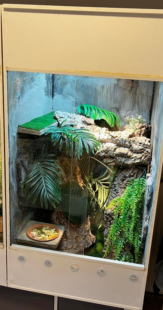 Groot terrarium 120x60x60, Ophalen, Zo goed als nieuw, Terrarium of Paludarium