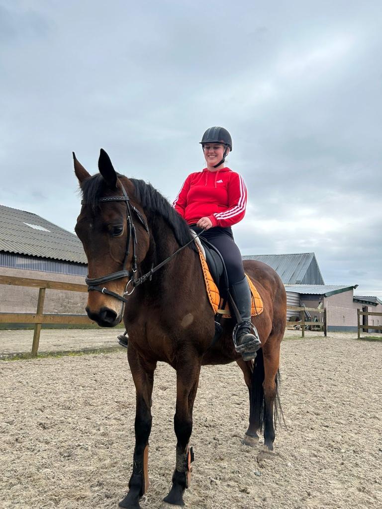 Gezonde , knappe 12 jarige merrie, Dieren en Toebehoren, Paarden, Merrie, B, 160 tot 165 cm, 11 jaar of ouder, Recreatiepaard