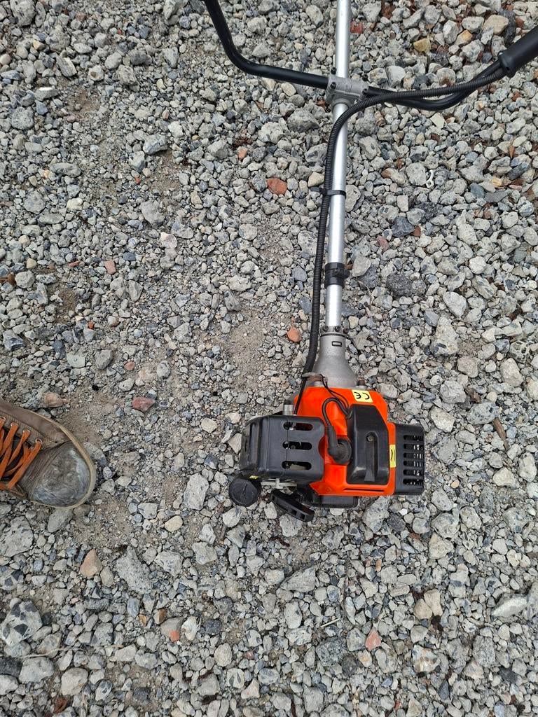 Bosmaaier, Tuin en Terras, Bosmaaiers, Ophalen