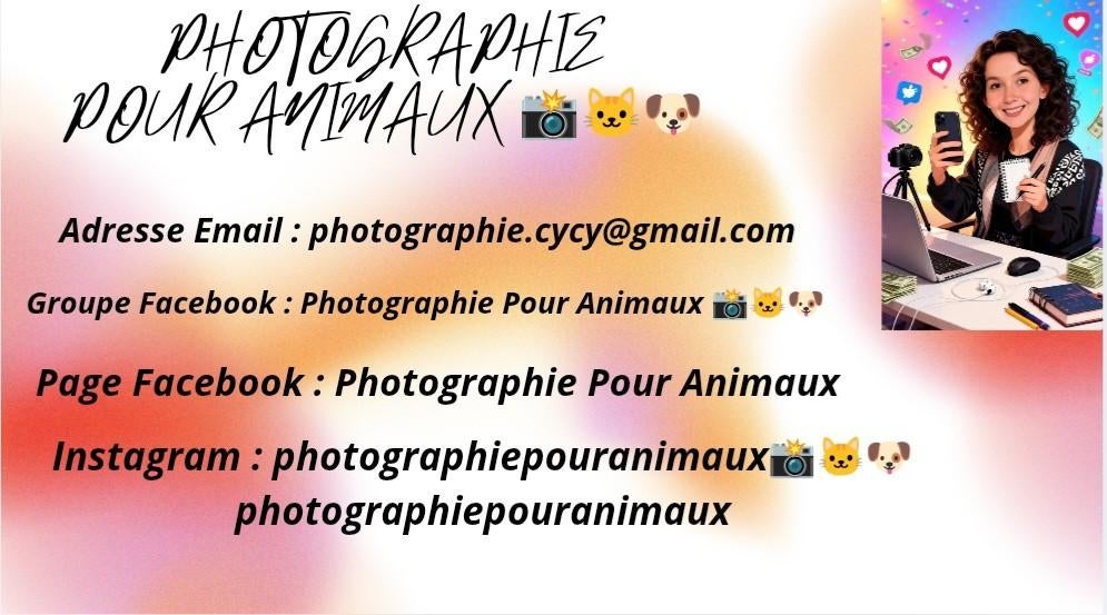 Photographie Pour Animaux