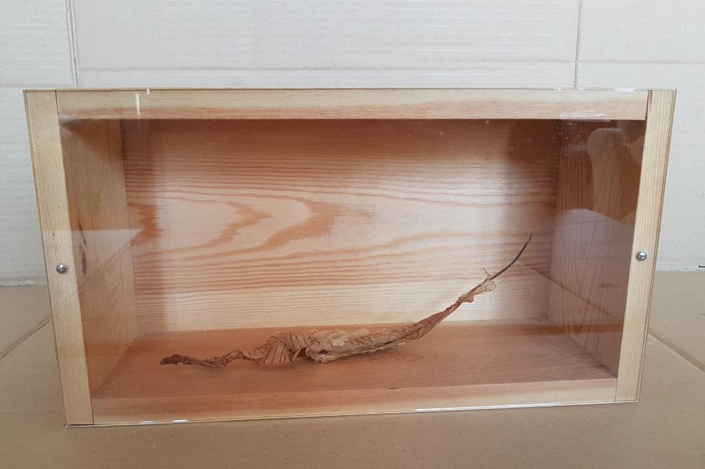 John Quivron - Sailing fougères - 1997 Arkumeko (en coffret), Enlèvement ou Envoi