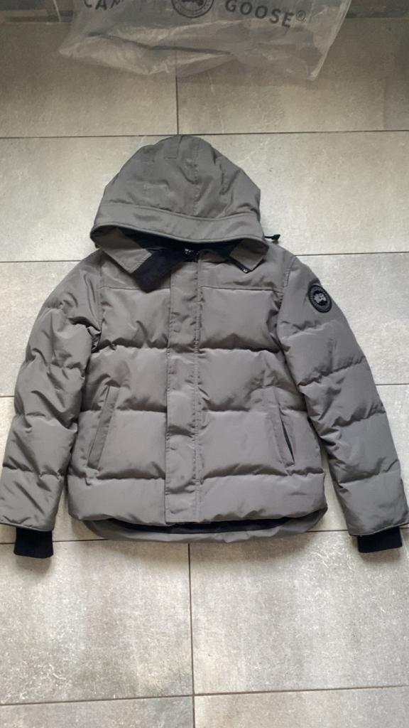Canada goose MacMillan gris, Enlèvement ou Envoi, Neuf, Taille 46 (S) ou plus petite, Gris