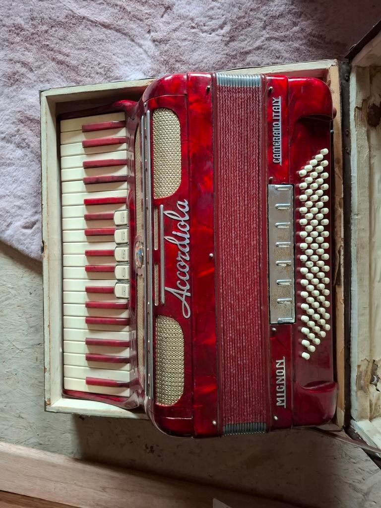 Accordion accordiola, Musique & Instruments, Accordéons, Enlèvement, Accordiola