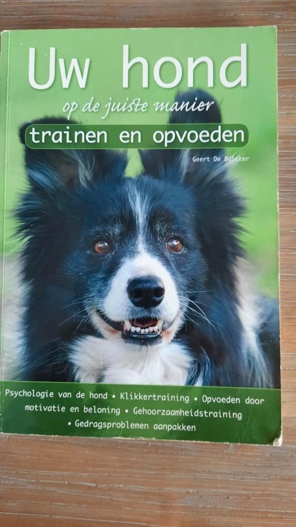 uw hond op de juiste manier trainen en opvoeden, Boeken, Ophalen of Verzenden, Zo goed als nieuw, Honden, Geert De Bolster