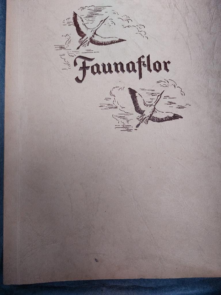 Faunaflor - 5 albums, Collections, Enlèvement, Utilisé