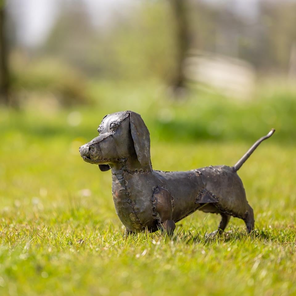 metalen Teckel, Ophalen of Verzenden