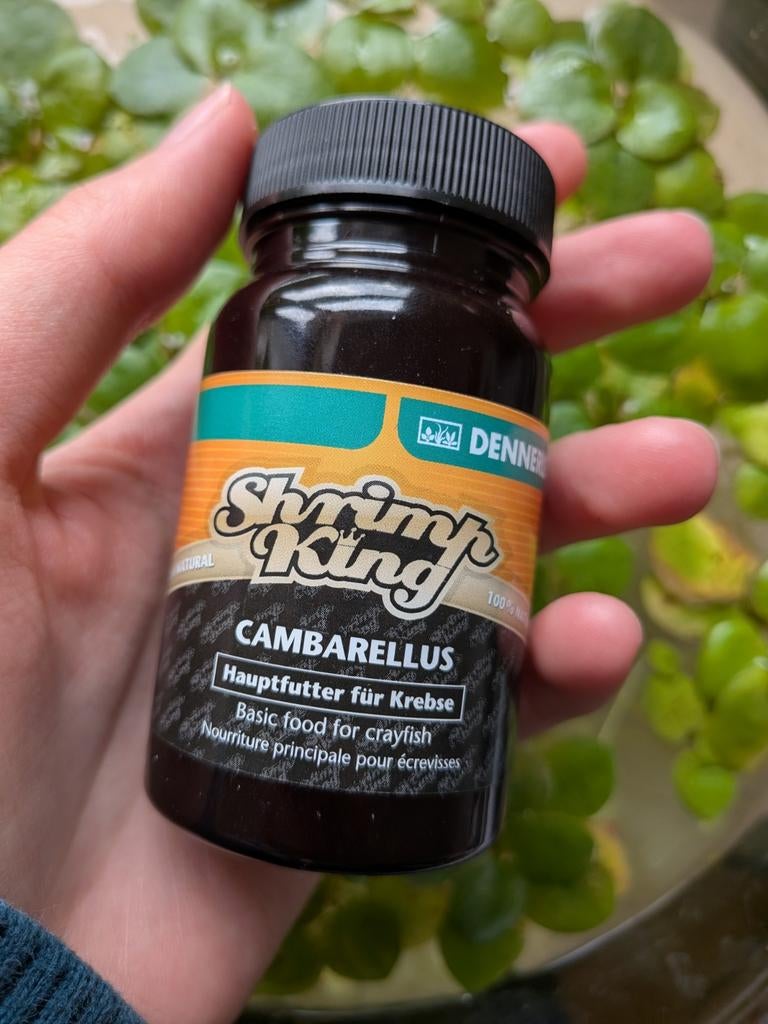 Korrels kreeften, Dieren en Toebehoren, Ophalen