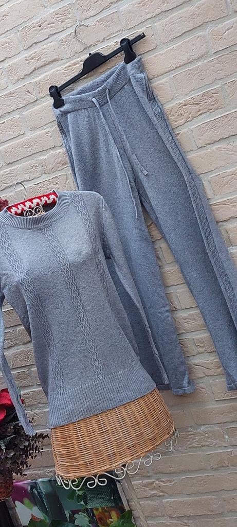 Ensemble jogging trui 47cm van oksel tot oksel.silver swan, Kleding | Dames, Overige Dameskleding, Silver  swan, Ophalen of Verzenden