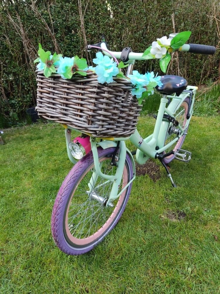 Kinderfiets Alpina Clubb 20 inch(4j-7j)met mandje, Fietsen en Brommers, Ophalen, Zo goed als nieuw, 20 inch of meer, Alpina Meisjesfiets