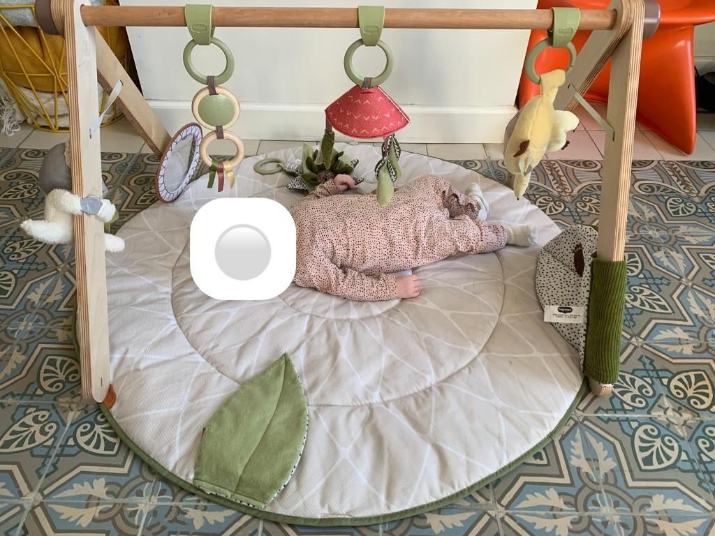 Tiny Love speelmat + speelboog 'babygym', Kinderen en Baby's, Speelgoed | Speelkleden, Zo goed als nieuw, Ophalen