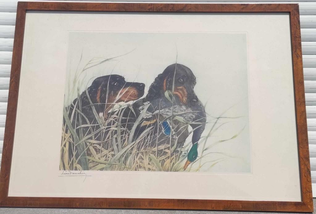 gravure chien de chasse signe Léon danchin, Ophalen, Gravure