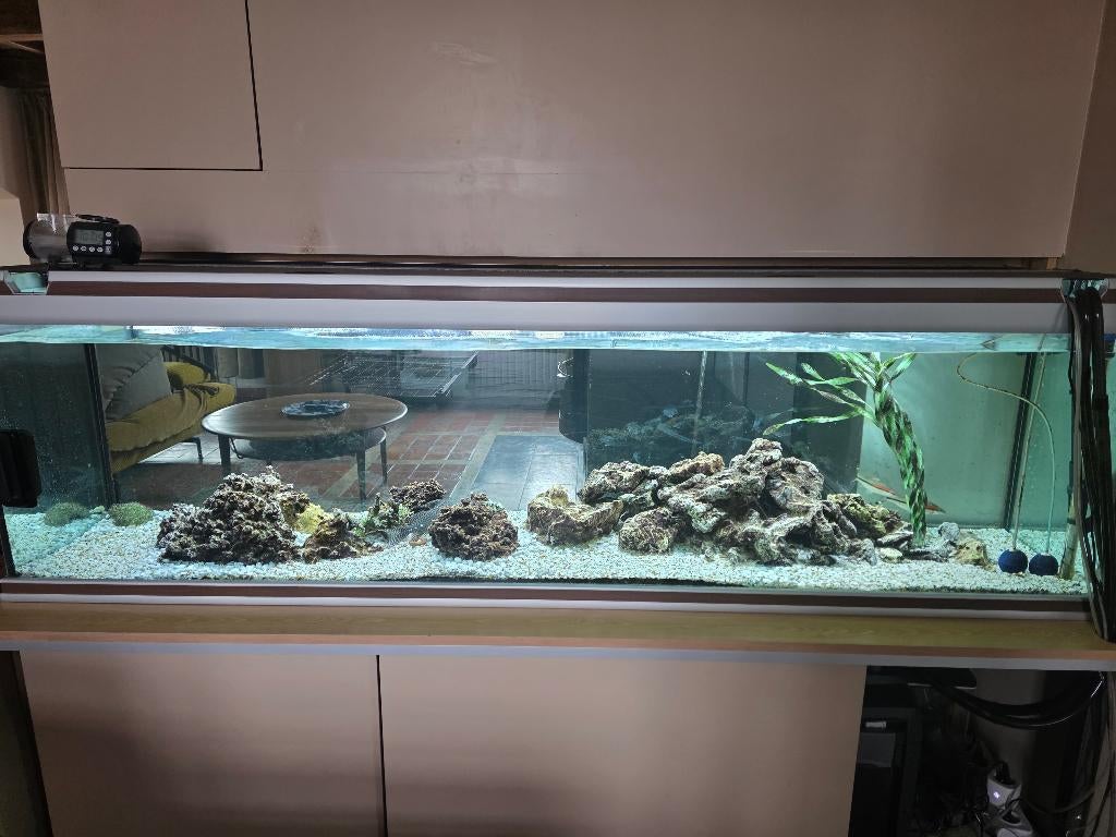 Aquarium 400 l pompe eheim professional 4 poissons, Enlèvement, Utilisé, Aquarium d'eau douce rempli