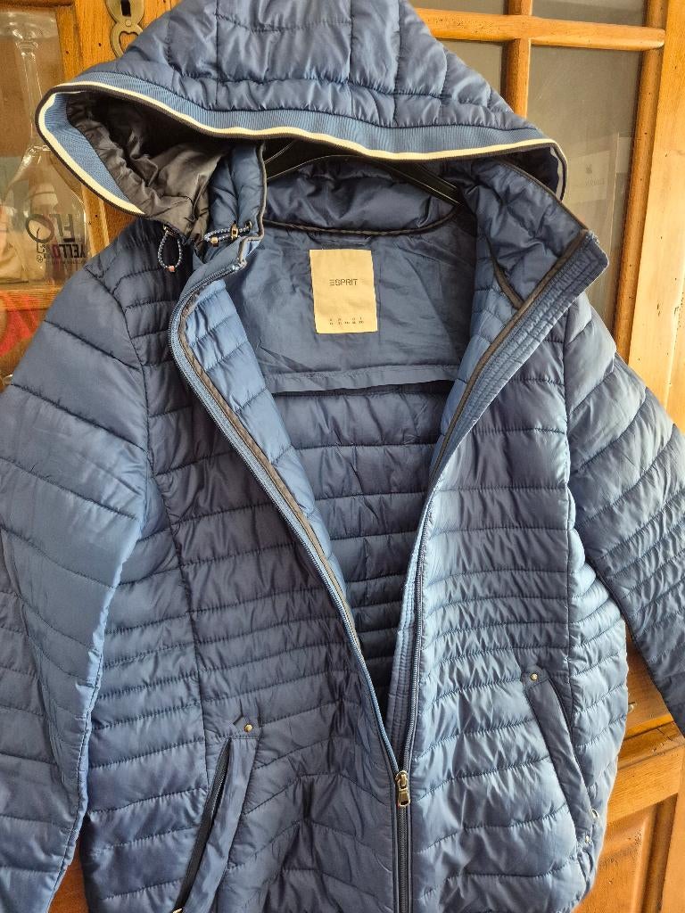 Veste esprit, Ophalen, Blauw, Maat 46/48 (XL) of groter, Gedragen