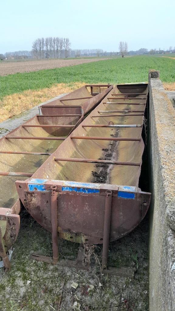 Veeteelt, Dieren en Toebehoren, Runderen