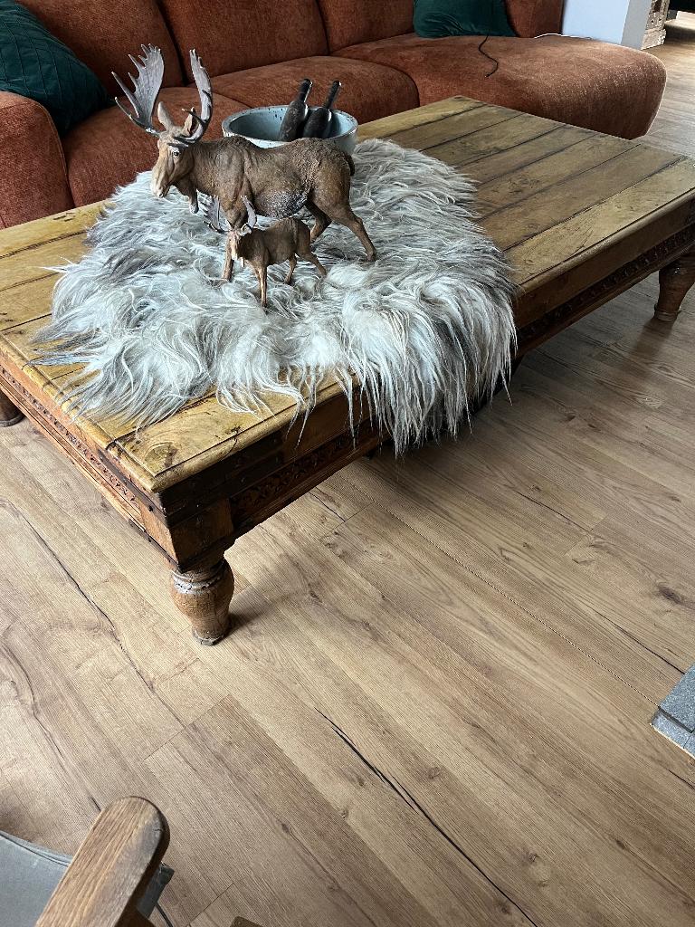 Salontafel 2 meter op 1.20 meter, Ophalen