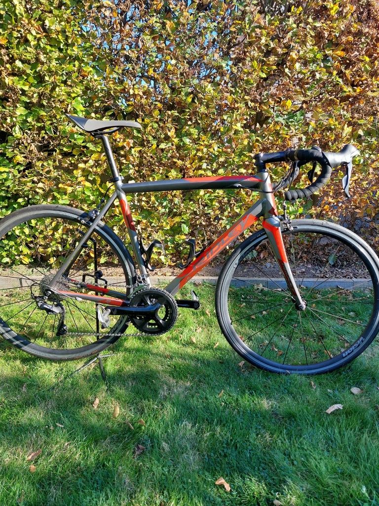 Ridley Fenix, Enlèvement