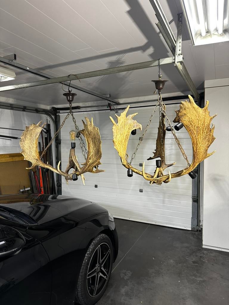 Gewei luster damherten, Enlèvement