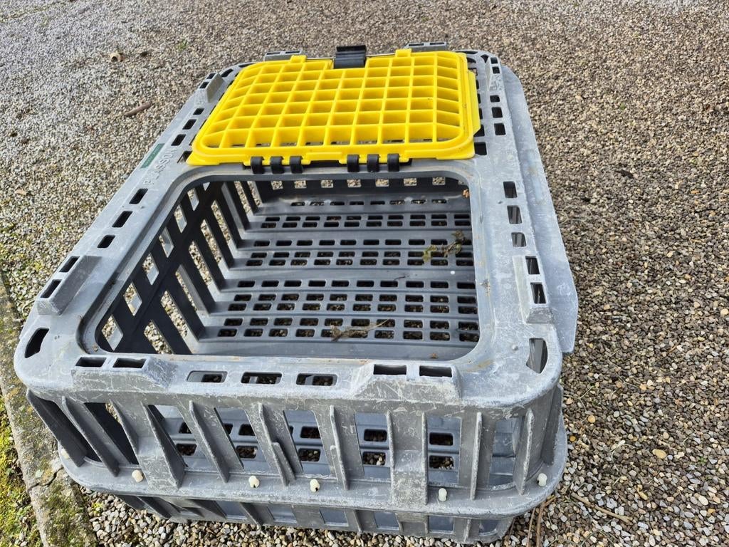 Transportkist voor pluimvee, Dieren en Toebehoren, Ophalen