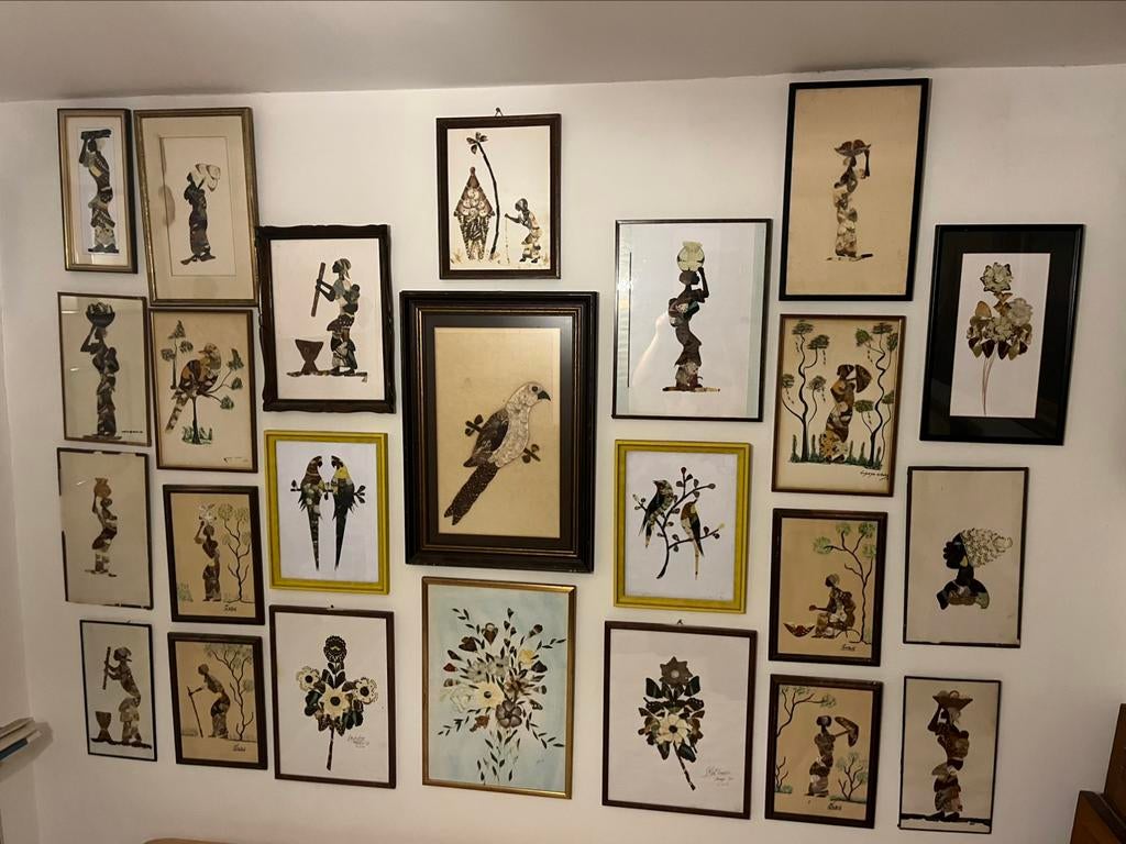 Grote collectie Afrikaanse kunst kaders vlinders taxidermie, Verzamelen, Ophalen