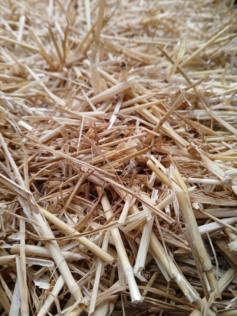 Straw à vendre, Articles professionnels, Enlèvement