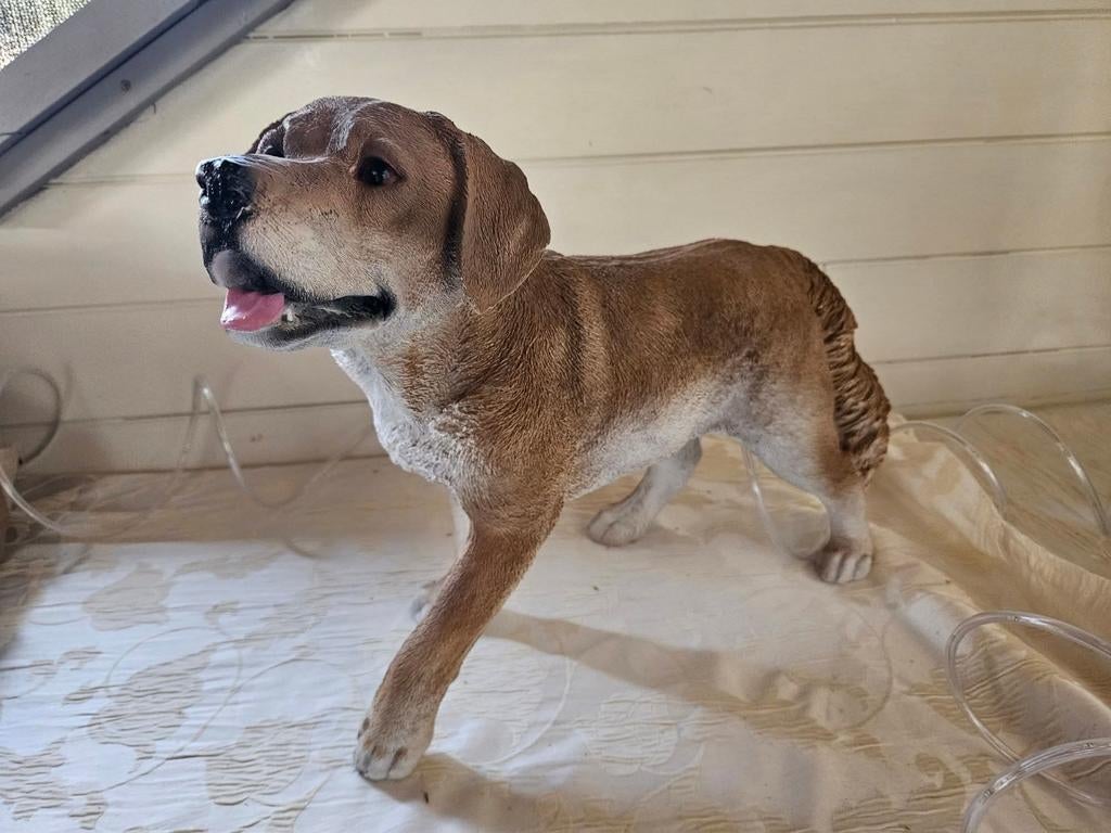 Polyester beelden,  labrador, Enlèvement, Neuf, Synthétique, Animal