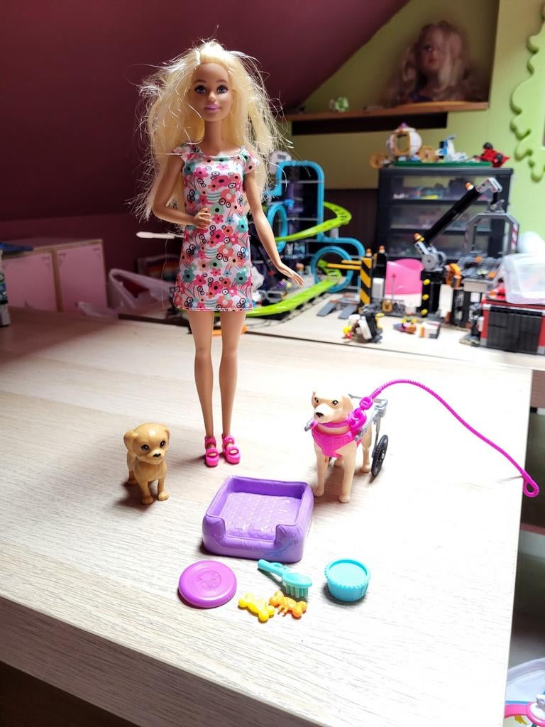 Barbie hond met rolstoel, Kinderen en Baby's, Ophalen, Barbie
