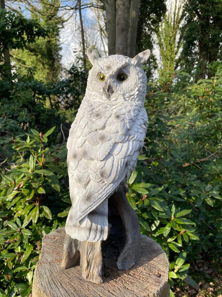 Beeld sneeuw uil, tuin, zwembad, vijver 55cm, Tuin en Terras, Ophalen, Nieuw, Kunststof, Dierenbeeld