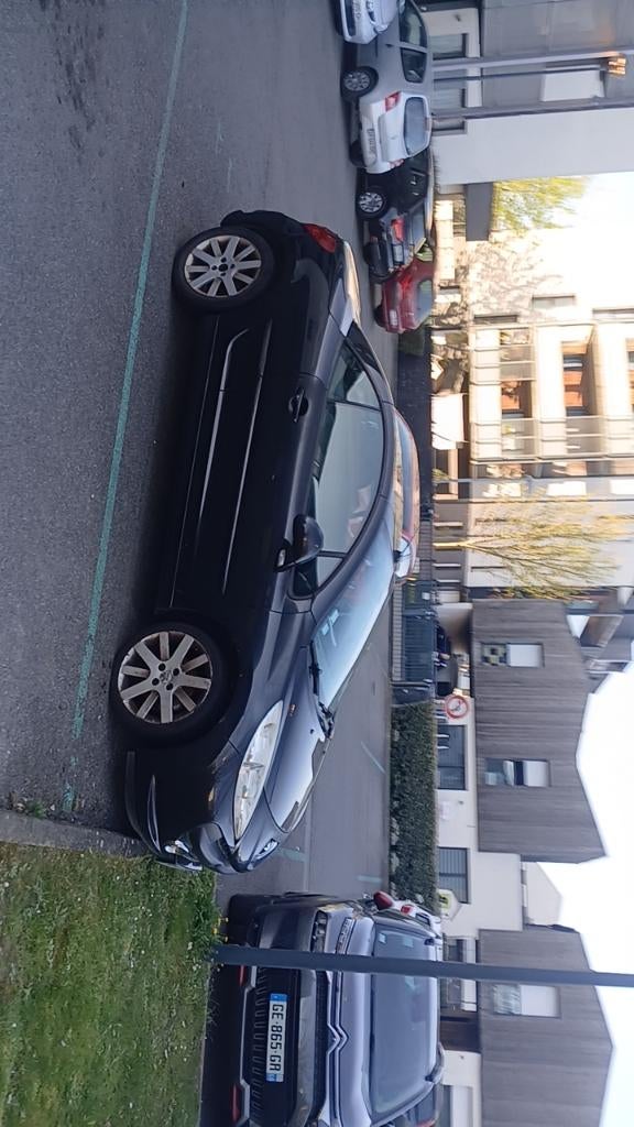 207 cc, Autos, Peugeot, Achat, 4 portes, Cabriolet, Boîte manuelle