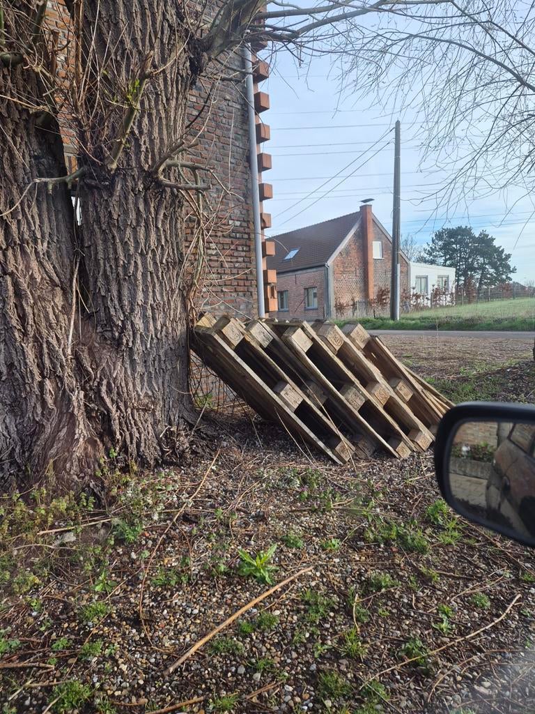 Paletten, Ophalen of Verzenden