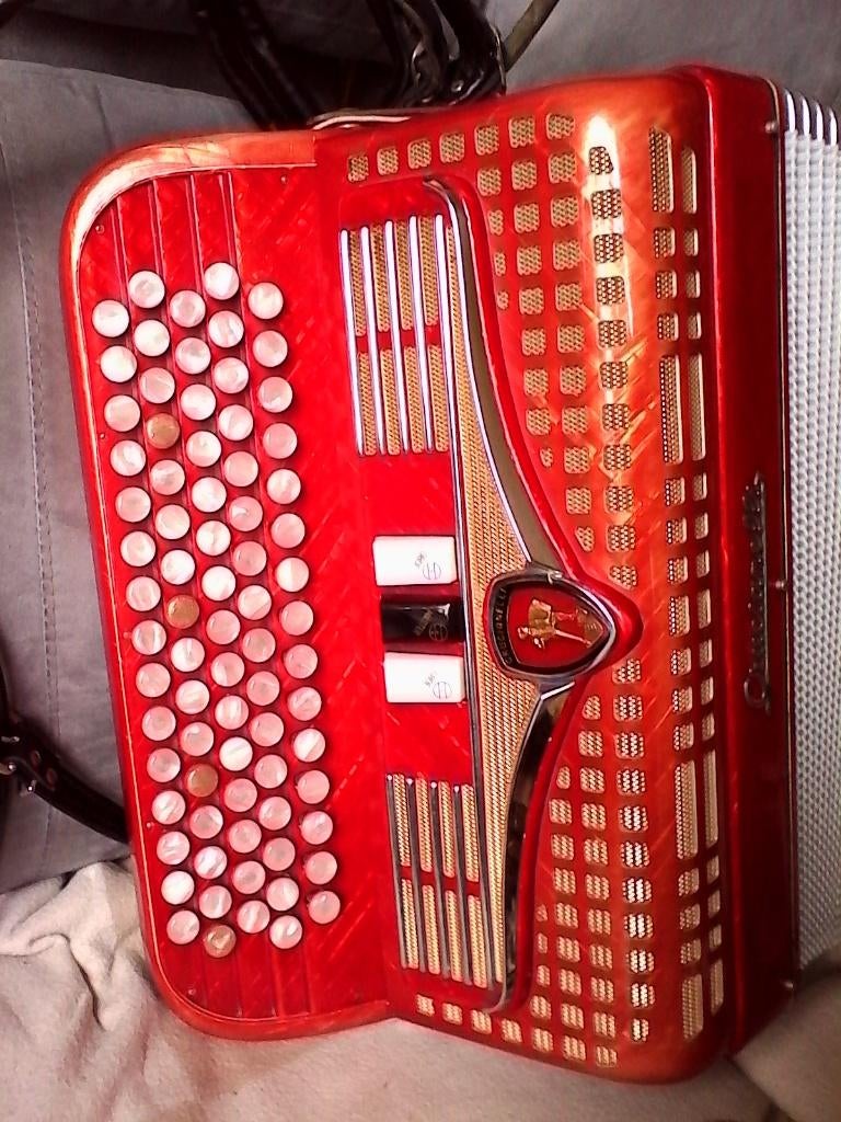 Accordeon, Muziek en Instrumenten, Accordeons, Overige merken, Gebruikt, Met koffer, Ophalen of Verzenden