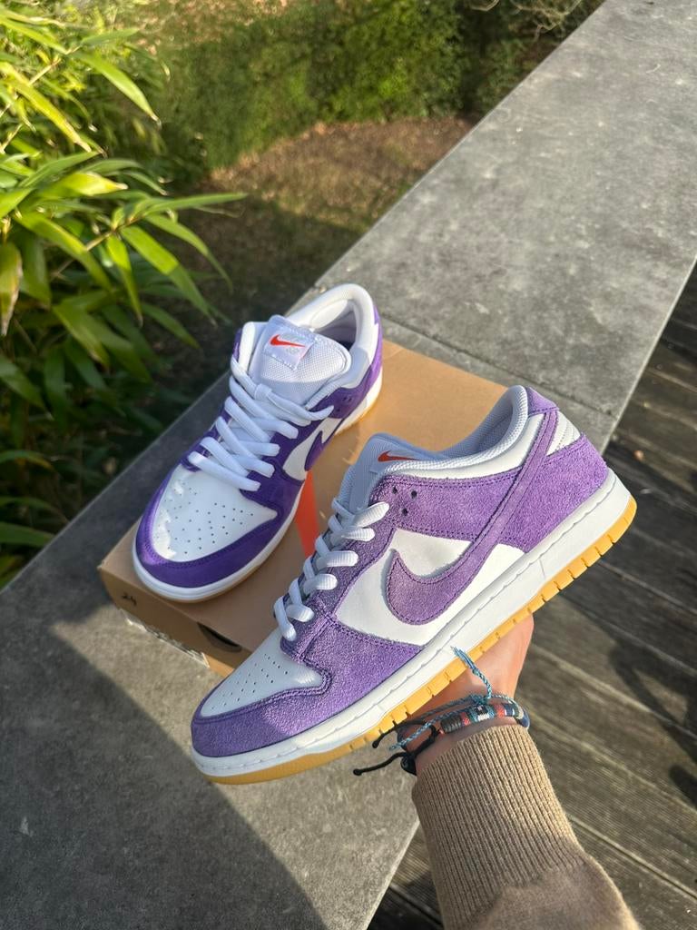 Dunk sb purple, Enlèvement, Neuf, Blanc, Baskets