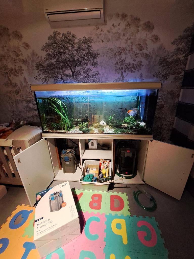 Aquarium met maanvissen, Animaux & Accessoires, Poissons | Aquariums & Accessoires, Utilisé, Aquarium d'eau douce rempli, Couvercle inclus