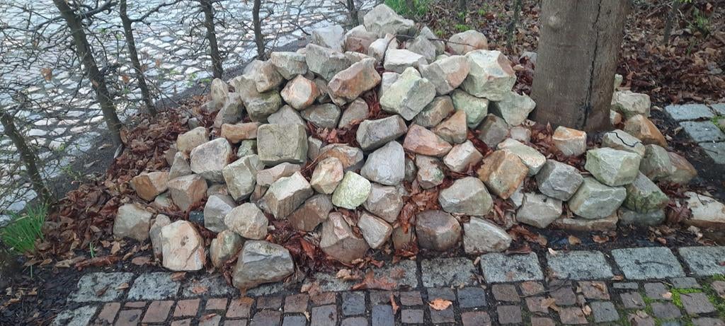 Vossekop kassei, Ophalen, Blauw