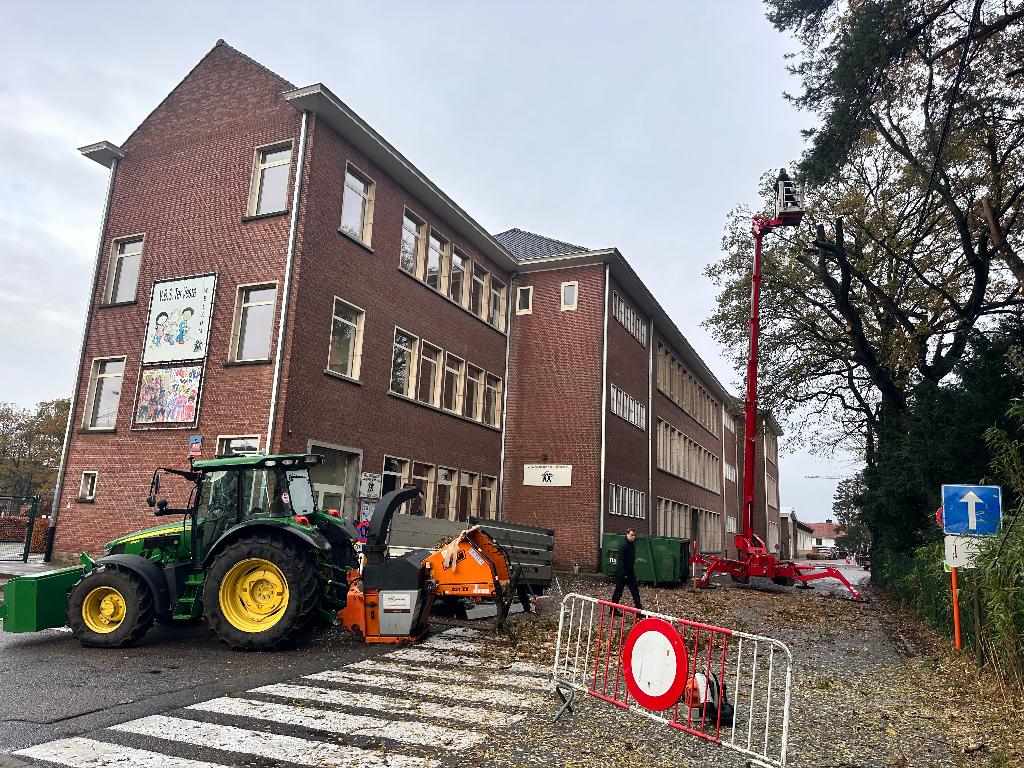 Alg. tuin , groen en grondwerk., Diensten en Vakmensen
