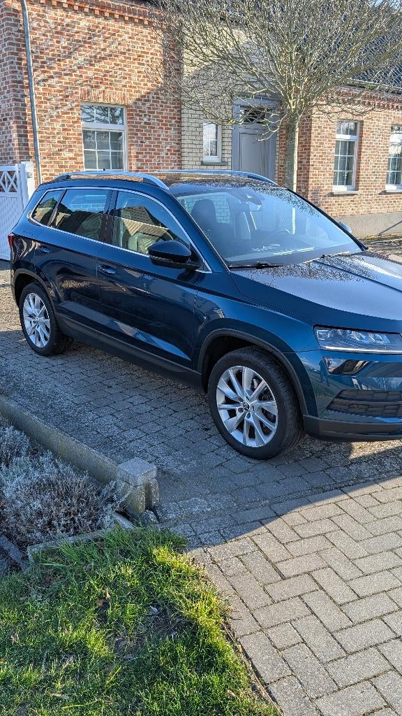 Skoda Karoq, Auto's, Automaat, 4 cilinders, 2000 kg, Blauw