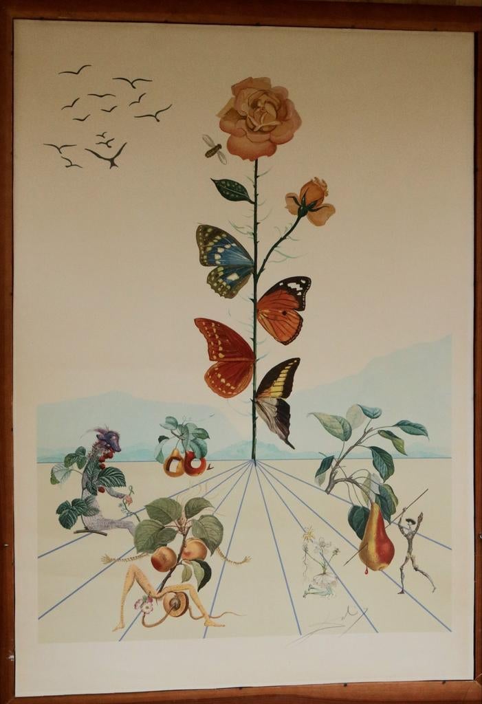 La Rose Papillon, Antiquités & Art, Enlèvement