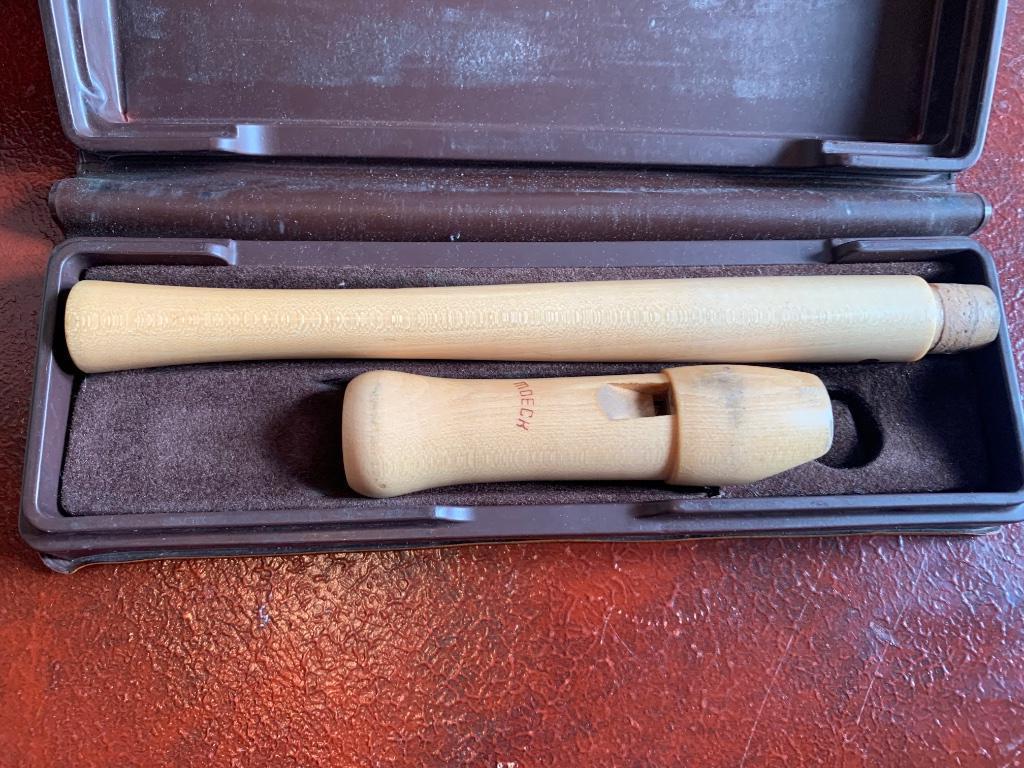 Blok fluit Moech, Ophalen of Verzenden, Gebruikt, Overige typen, Met koffer, hoes of etui