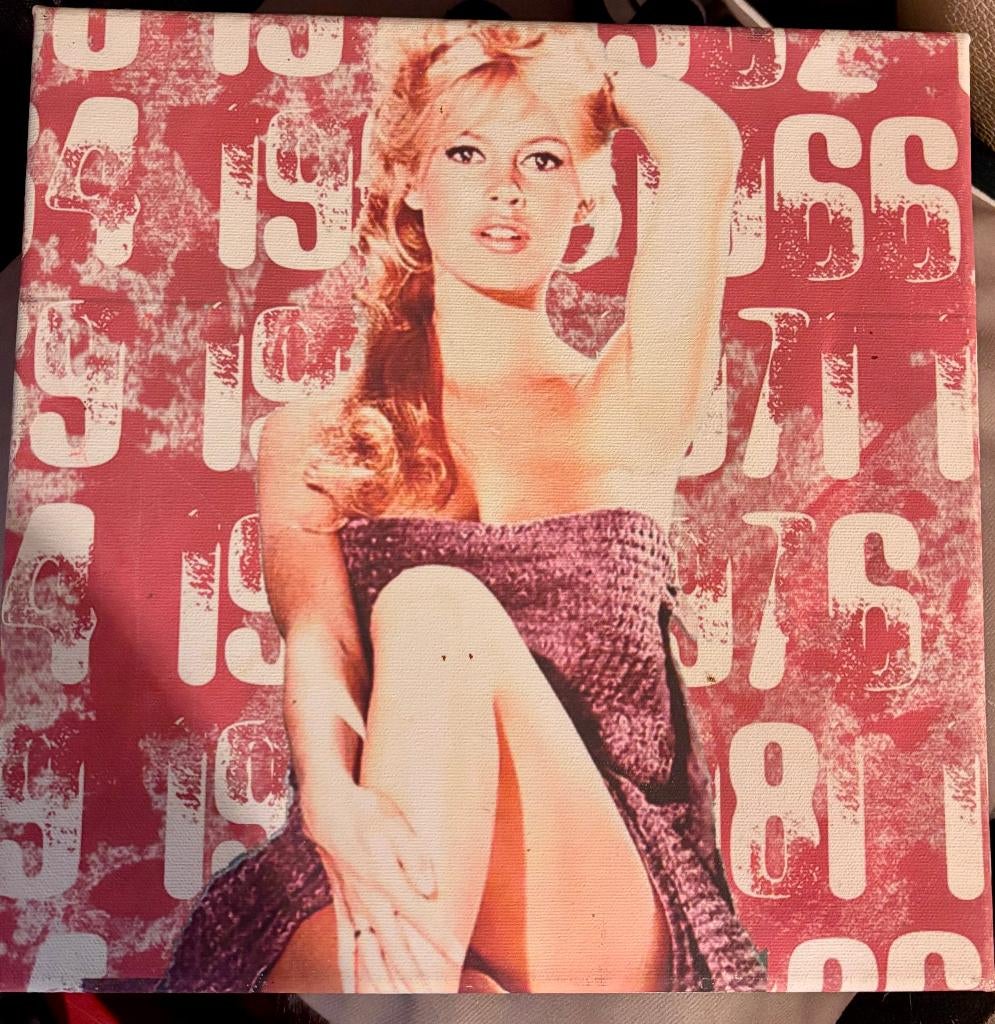 Schilderij Brigitte Bardot, Ophalen of Verzenden, Zo goed als nieuw, Film, Foto of Kaart