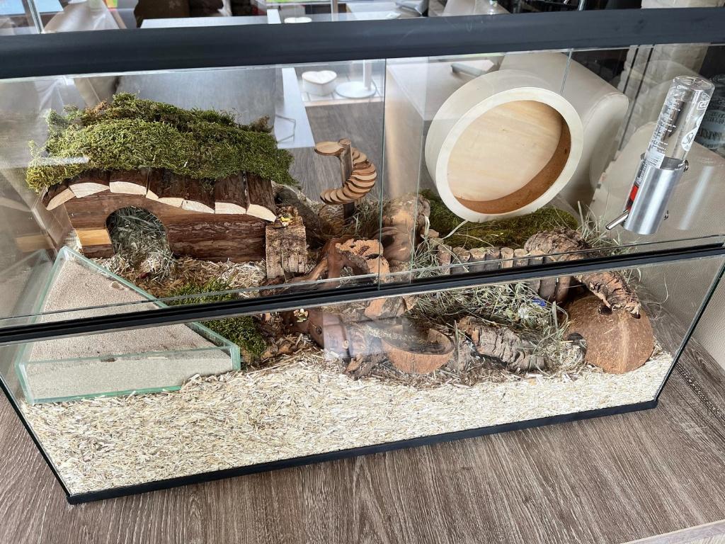 Glazen hamsterkooi – Terrarium kopen, Neuf, Enlèvement ou Envoi, Niche, Moins de 60 cm