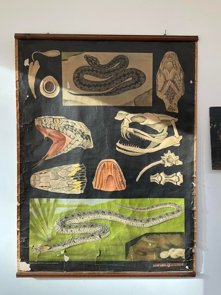 Affiche pedagogique JUNG KOCH QUENTELL, Ophalen