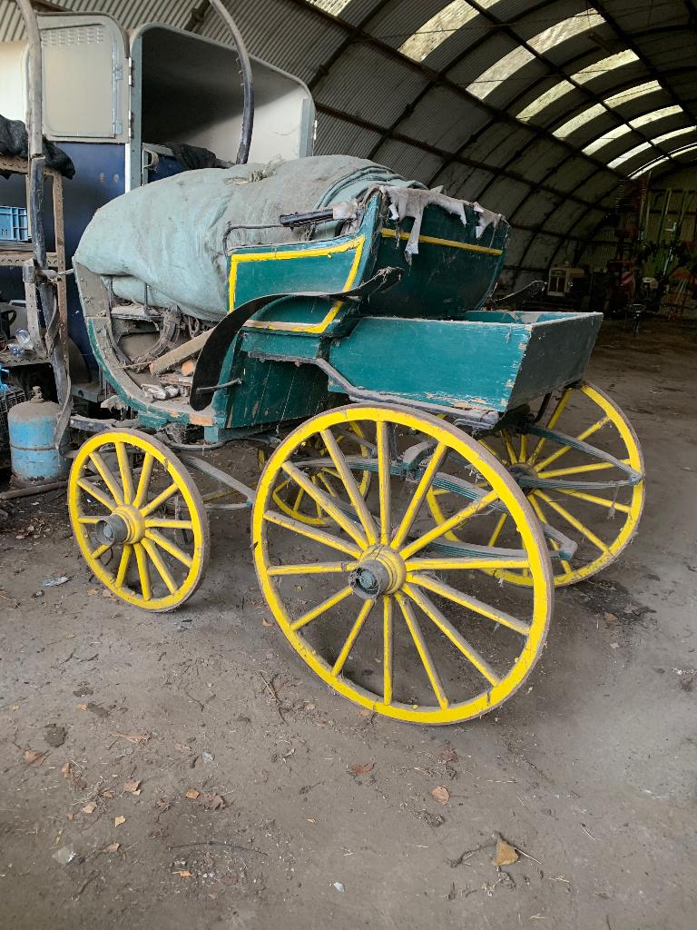 Calèche, Animaux & Accessoires, Utilisé, Autres types, Cheval