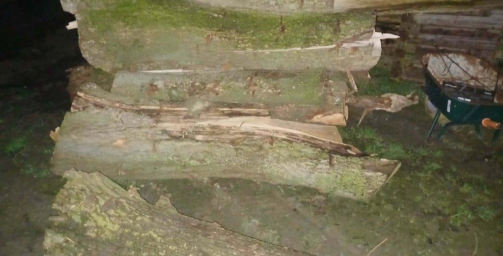 Brandhout, Enlèvement ou Envoi, Troncs d'arbres