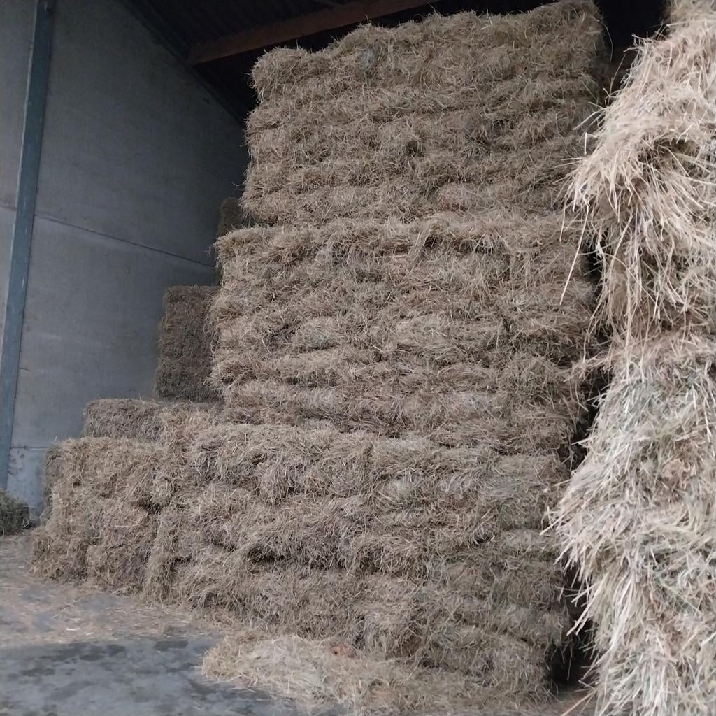 Hooi en stro, Dieren en Toebehoren, Dierenvoeding, Ophalen