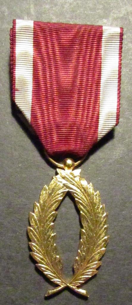 Gouden palm in de orde van de kroon - medaille, Verzamelen, Militaria | Algemeen, Landmacht, Lintje, Medaille of Wings, Ophalen