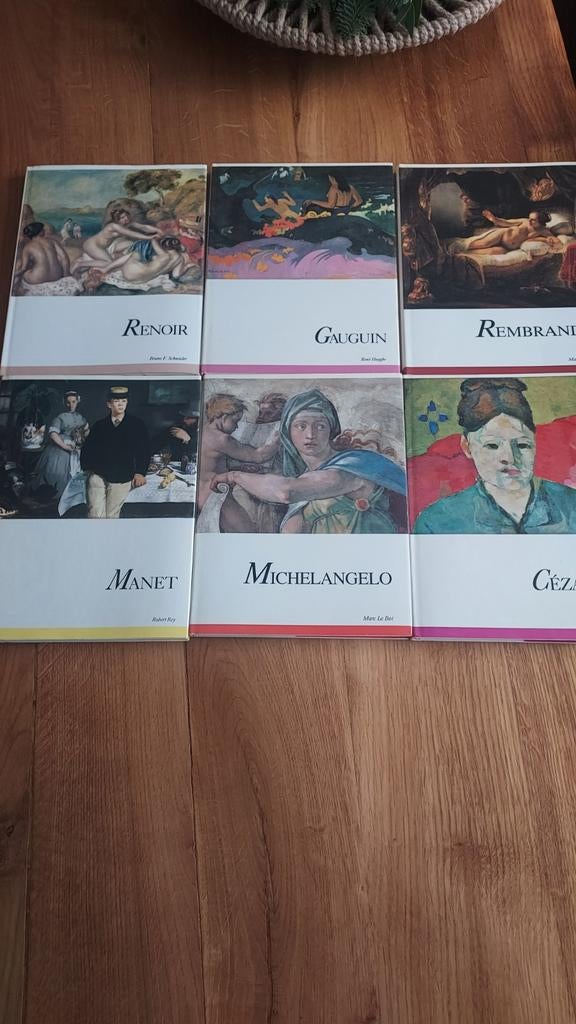 Renoir- Gezanne-Rembrandt-Gauguin-Michelangelo-Manet, Ophalen, Zo goed als nieuw