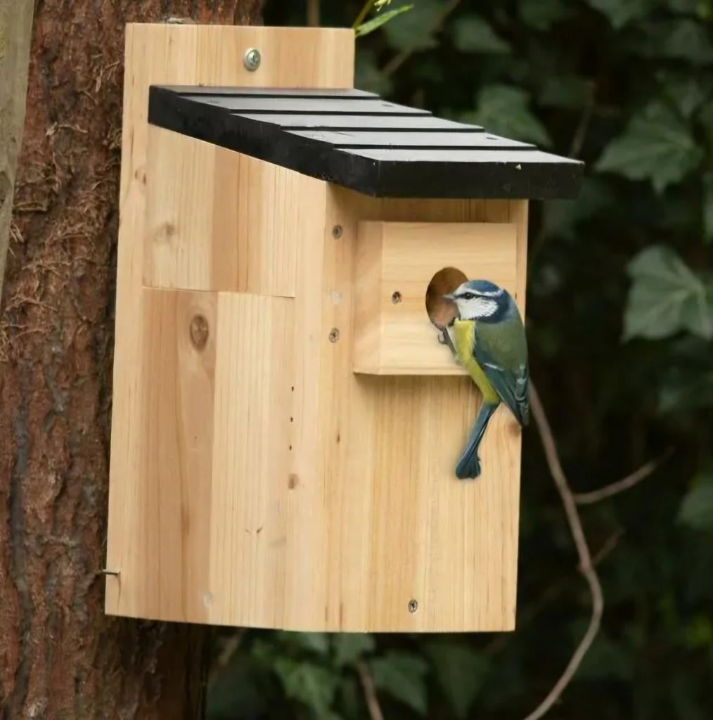 Gepersonaliseerde Nestkast, Dieren en Toebehoren