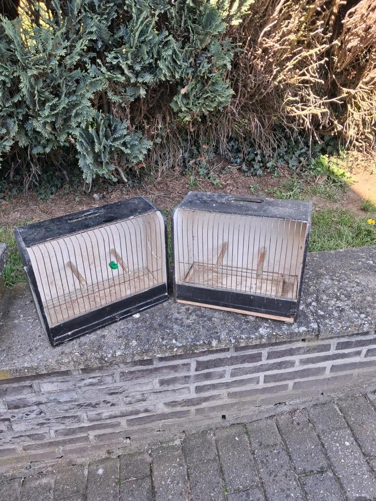 Vogel kweek hokjes, Dieren en Toebehoren, Vogels | Hokken en Kooien, Ophalen