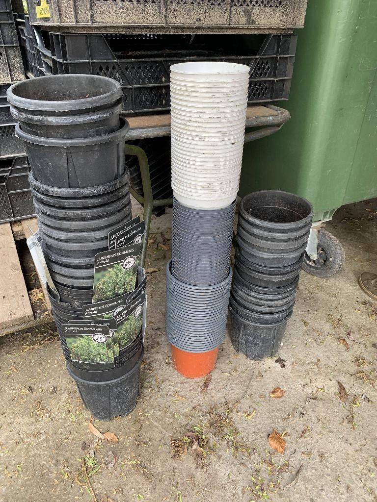 pots de fleurs gratuits, Enlèvement