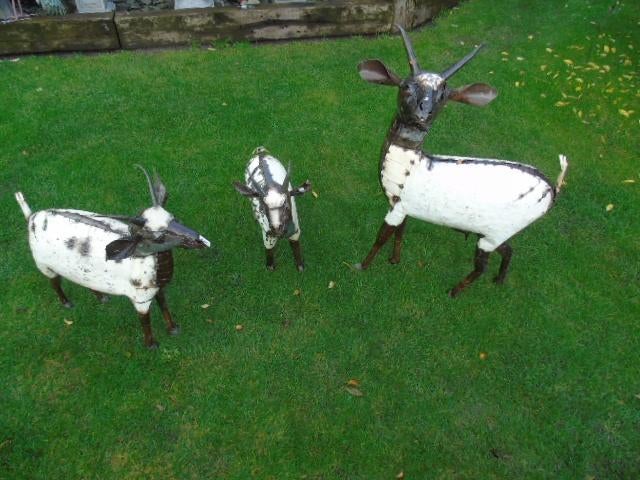 geit, geit (3) smeedijzeren kleuren en roest, Tuin en Terras, Tuinbeelden, Ophalen, Nieuw, Metaal, Dierenbeeld